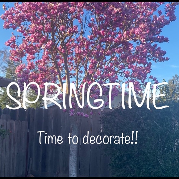 COPY - COPY - COPY - Meet your Posher, Debra - Picture 8 of 11